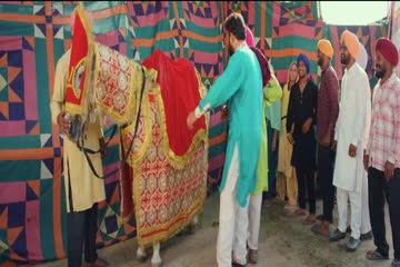 Padma Shri Kaur Singh 2022 ORG DVD Rip thumb