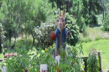 Peter Rabbit 2 The Runaway (2021) ORG Audio Dub In Hindi thumb